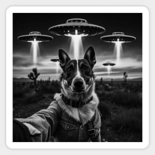 Selfie of Funny Dog And Aliens UFO - 2 Sticker